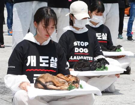 Manifestantes contra el consumo de carne de perro . Foto: EFE.