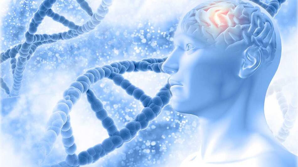 Alzheimer, salud, medicina