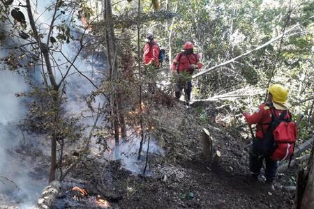 Incendio Epuyén - Chubut