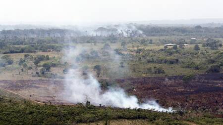 Incendios forestales en Colombia. Foto: EFE.