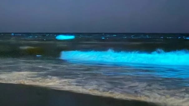 Luces que iluminan las olas en Punta del Este: qué son y por qué se ve este fenómeno azul por la noche