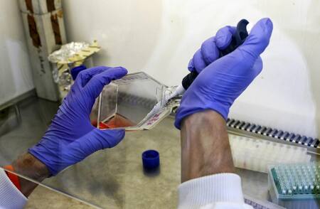 Científico cultiva células cancerosas en un laboratorio, REUTERS