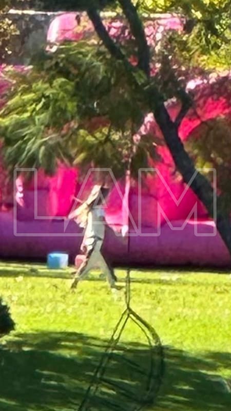 Mauro Icardi incumplió con la Justicia y podría perder la revinculación con sus hijas. Foto X @elejercitodeLAM