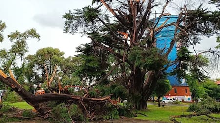 La mujer estaba desmayada cuando le robaron sus cosas. Foto: NA.