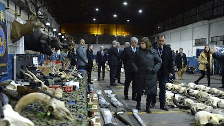 Patricia Bullrich tras el mega operativo contra una organización de caza ilegal en Argentina. Foto: X