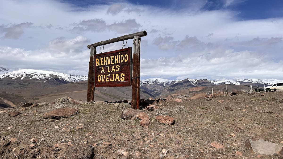 las ovejas, diego reinhold, otro dia perdido, neuquen, ovnis, extraterrestres