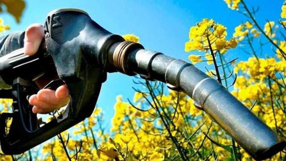 Biocombustibles, biodiesel.