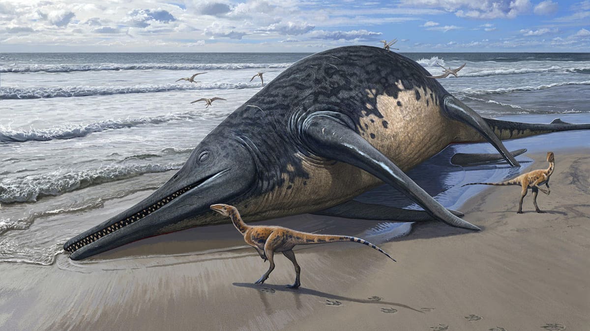 El "ictiosaurio gigante", el reptil marino mas grande de la tierra. Foto: EFE