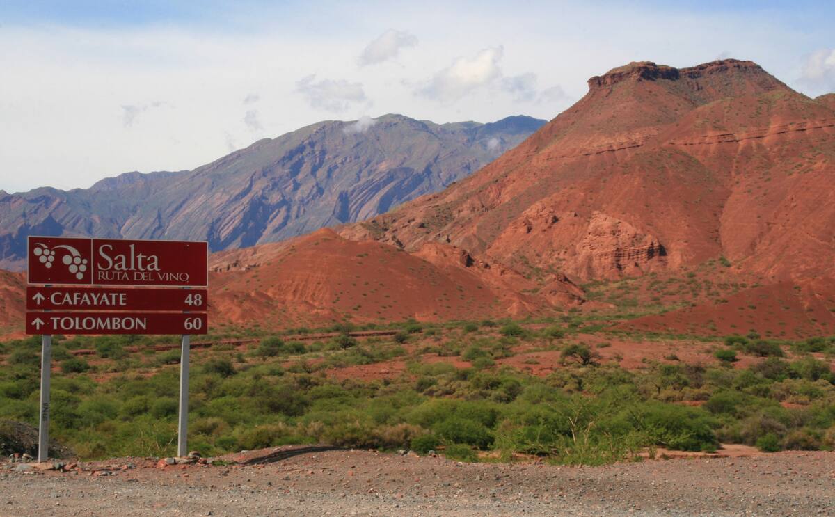 Ruta del vino en Salta. Fuente: Wikipedia