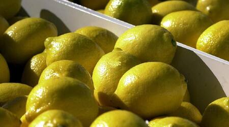 Cítricos, limones