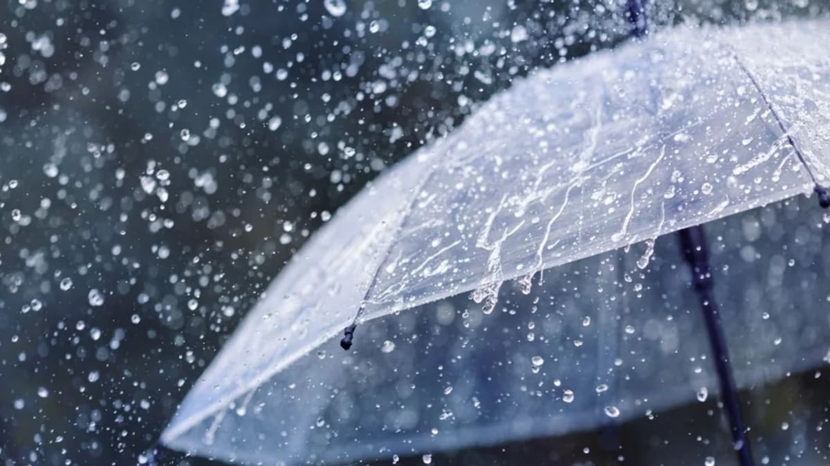 Zonas más afectadas y medidas preventivas ante la llegada de Súper El Niño a la Argentina.