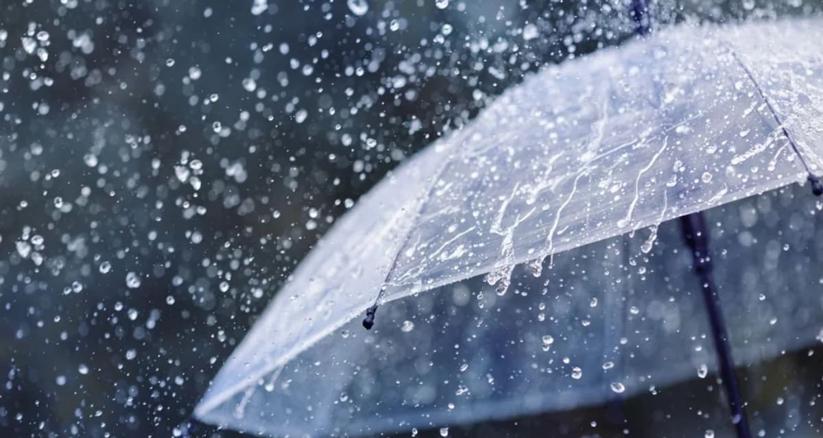 Paraguas con lluvia