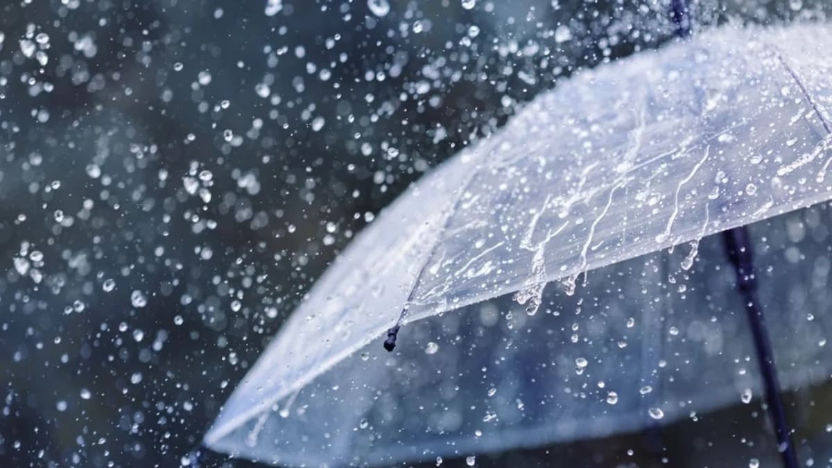 ¿Llegan fuertes lluvias y tormentas con el Súper El Niño?: zonas más afectadas de Argentina y medidas que se activaron para evitar inundaciones