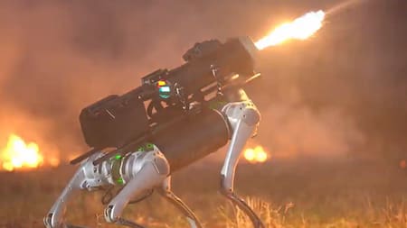 Perro lanzallamas. Foto: captura video.