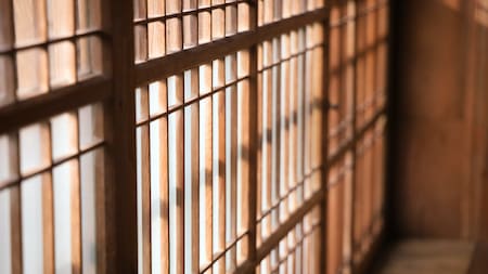 Mujeres que conviven con sus hijos en las cárceles. Foto ilustrativa: Unsplash.