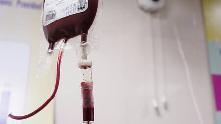 Donación de sangre. Foto: Unsplash.