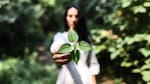 Está en todos lados y tiene beneficios para la salud: la planta silvestre que alivia dolores y depura el cuerpo