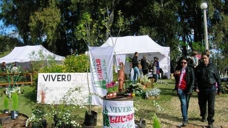 Cazón. Fuente: Turismo Saladillo.