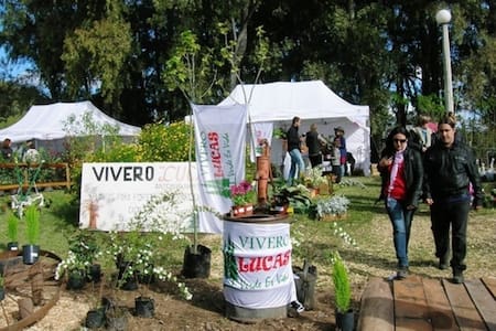 Cazón. Fuente: Turismo Saladillo