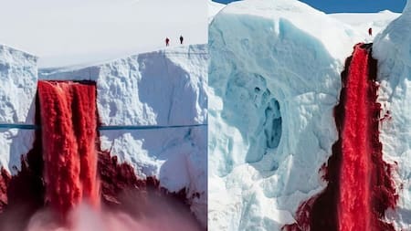Hito geológico en la Antártida: científicos descubren qué origina el agua rojiza en las Cascadas de Sangre