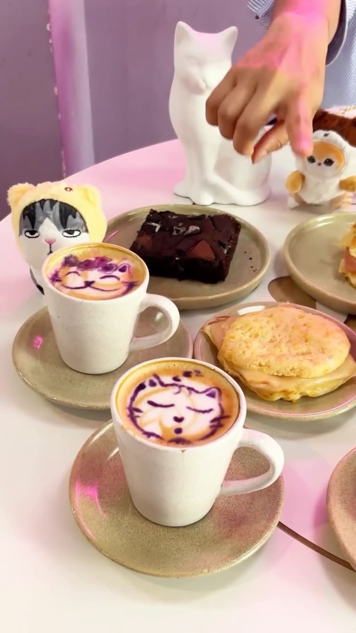 Studio Cat Coffee, cafetería para los amantes de los gatos.
