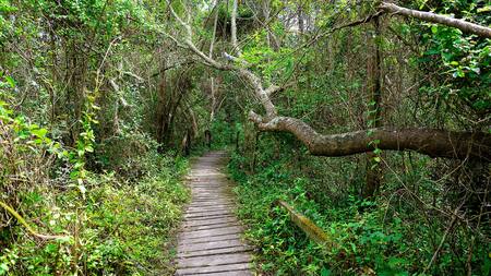 Reserva Natual Punta Lara. Foto: Provincia de Buenos Aires.
