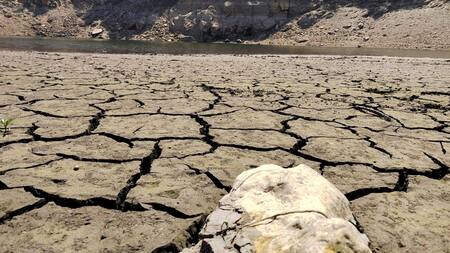 Cambio climático. Foto: EFE
