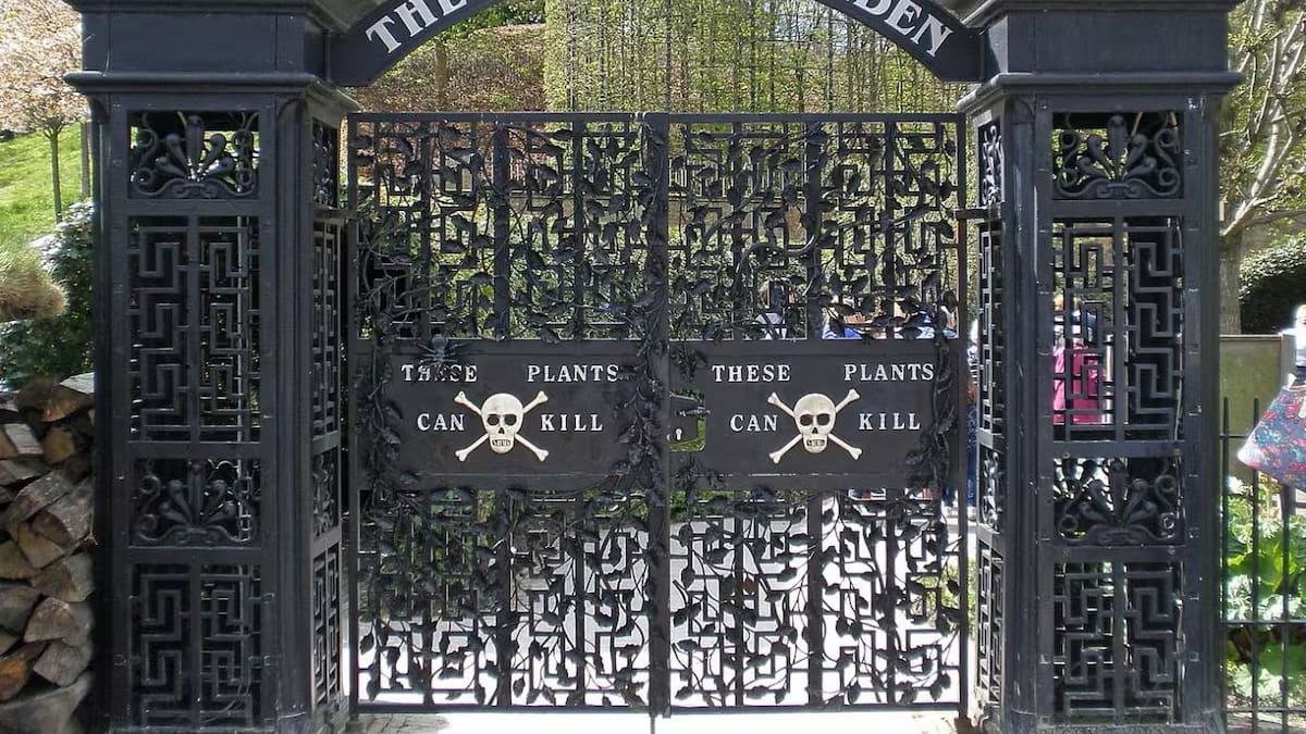 El jardín más peligroso del mundo está en un castillo inglés: tiene la planta más venenosa y conserva más de 100 especies tóxicas