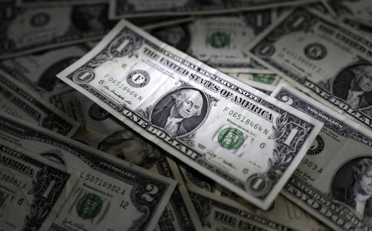 Dólar, economía argentina. Foto: NA