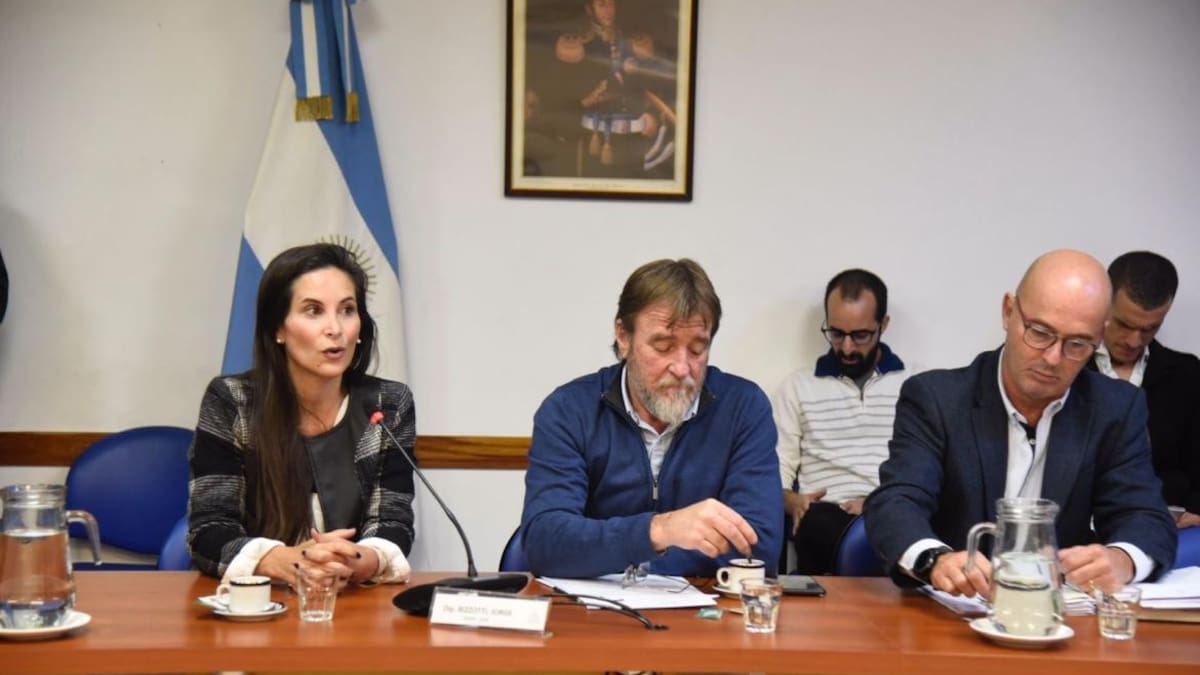 Diputados; Vehículos eléctricos a la Ley Nacional de Tránsito. Foto: Prensa Diputados.