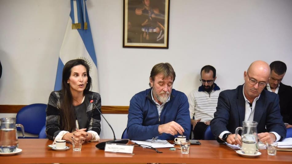 Diputados; Vehículos eléctricos a la Ley Nacional de Tránsito. Foto: Prensa Diputados.