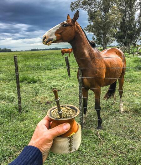 La Choza, Buenos Aires. Foto Instagram @diegoenelcamino