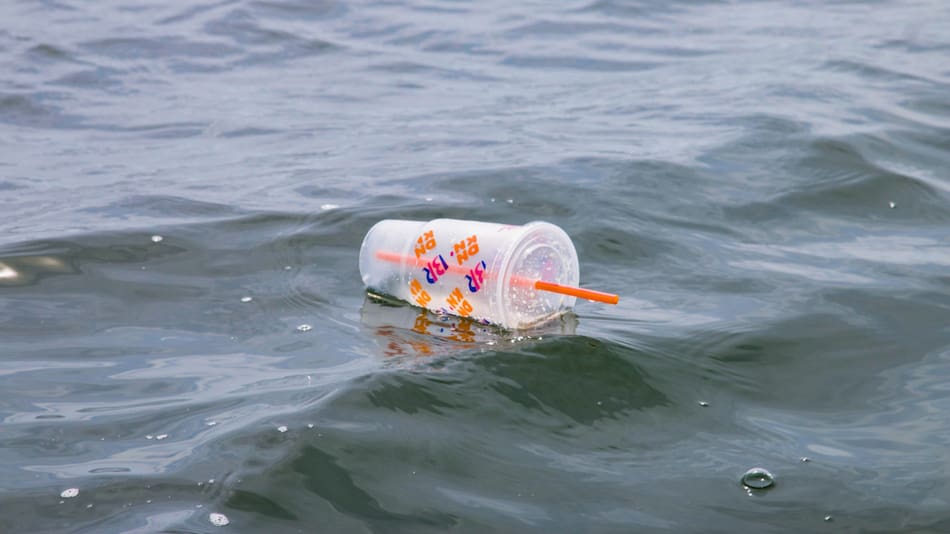 Vaso plástico en las agua de New York. Foto: Unsplash