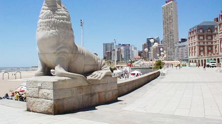 Mar del Plata - turismo - lobos marinos