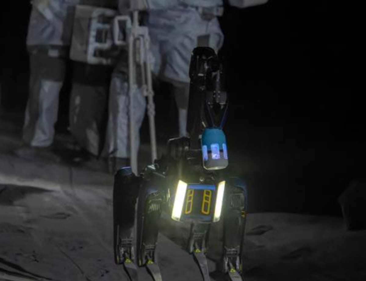 Perro robot chino