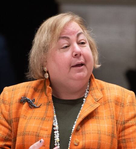 Liz Krueger, senadora demócrata. Foto: X.