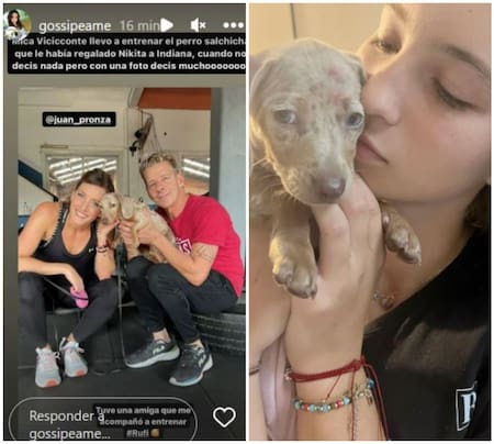 La publicación de Mica Viciconte con Rufi, el perro salchicha que le regaló Nicole Neumann a Indiana. Foto: Instagrams.