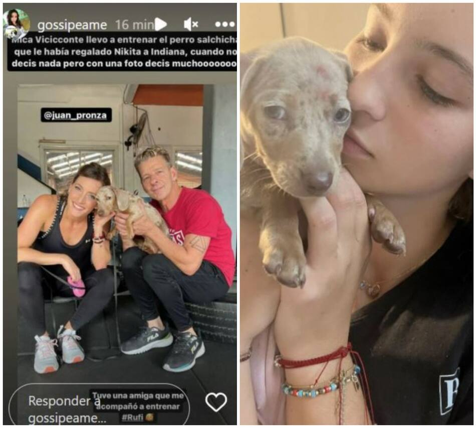 La publicación de Mica Viciconte con Rufi, el perro salchicha que le regaló Nicole Neumann a Indiana. Foto: Instagrams.