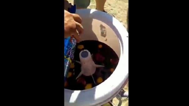Video viral: llevaron un lavarropas a la playa para hacer sangría