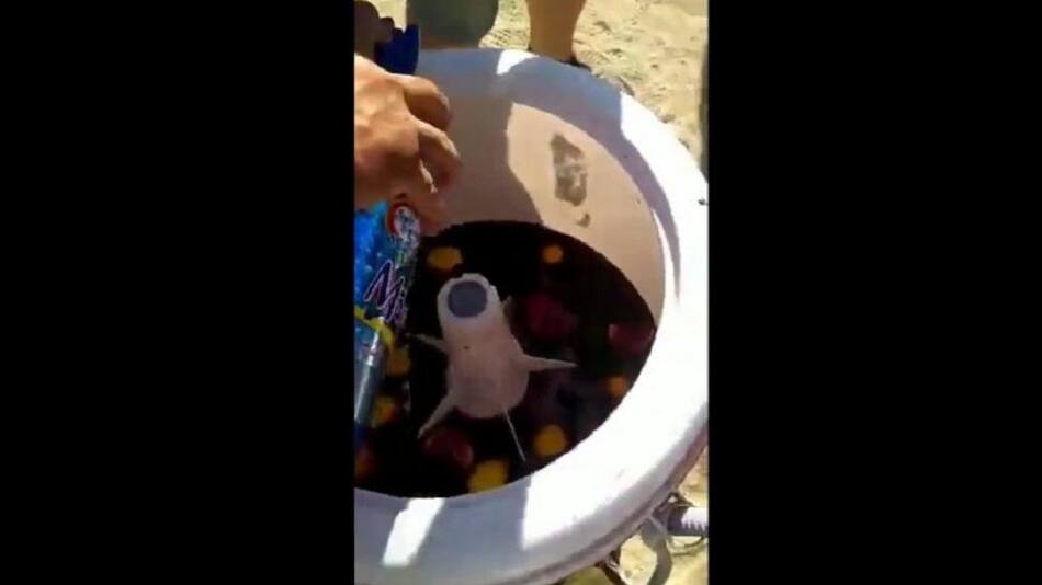 Preparan tragos en un lavarropas