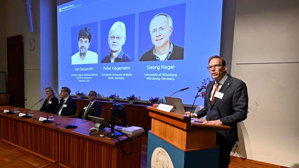 Karl Deisseroth, Peter Hegemann y Georg Nagel fueron reconocidos por desarrollar la optogenética, una técnica que permite controlar neuronas mediante estímulos lumínicos.