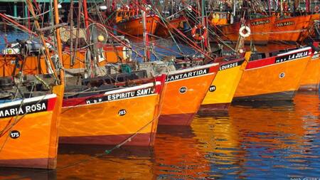 Pesqueros artesanales de Mar del Plata