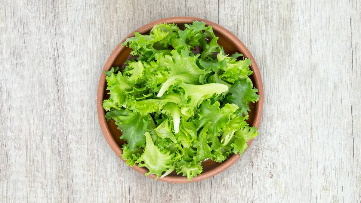 La forma correcta de guardar la lechuga en la heladera.