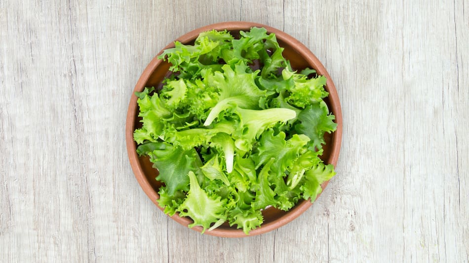 Lechuga. Foto: Unsplash.