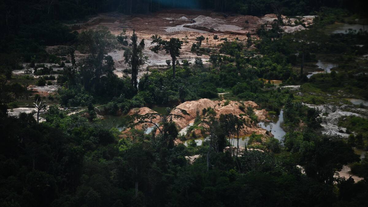 Destrucción de la Amazonia. Foto: EFE.