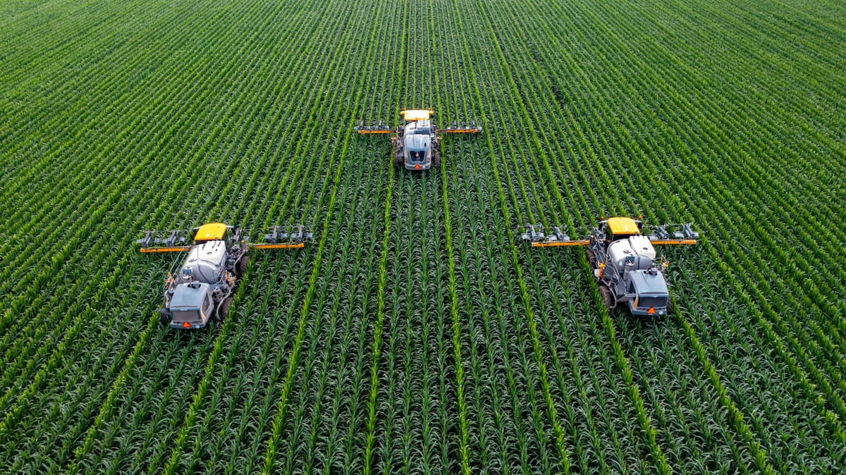 Agricultura China. Foto: Unsplash
