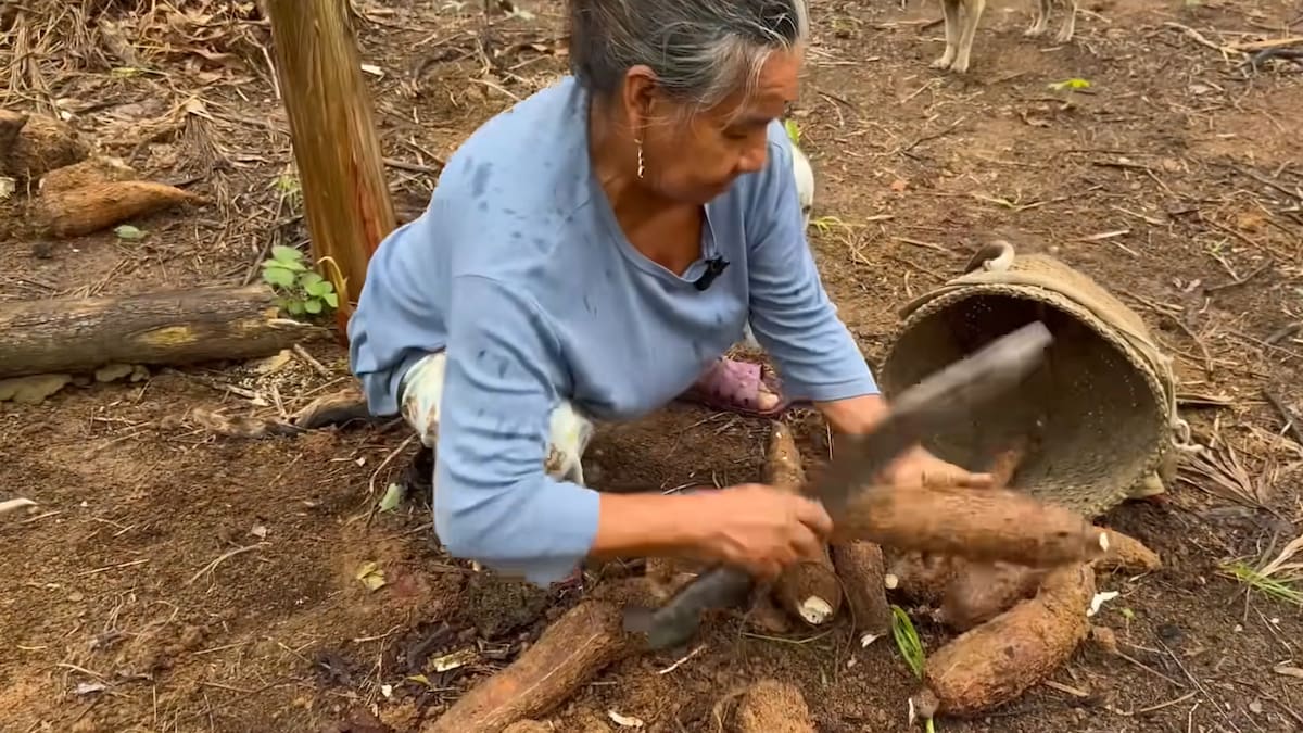 La chacra familiar aporta buena parte de los alimentos que consumen Rosa y Sixto en una zona aislada de la Amazonía ecuatoriana.