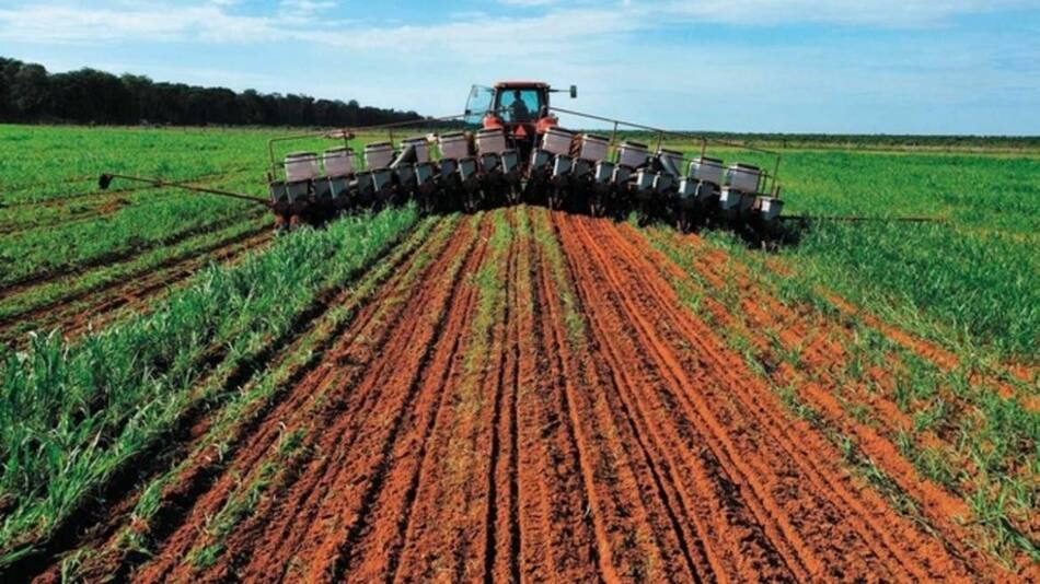 Sector agropecuario