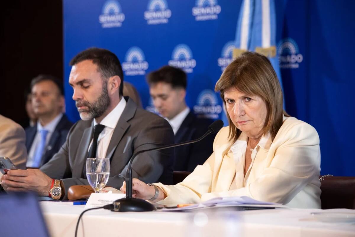 Patricia Bullrich.