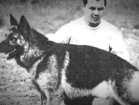 Día Nacional del Perro - efemérides